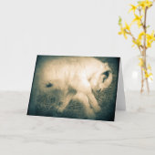 喜びに飛び付く カード (黄色い花)