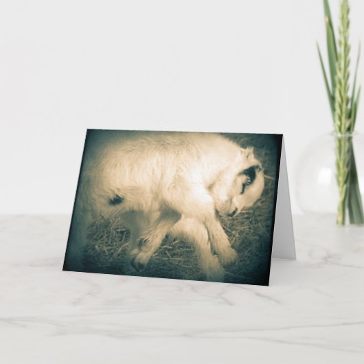 喜びに飛び付く カード (正面)