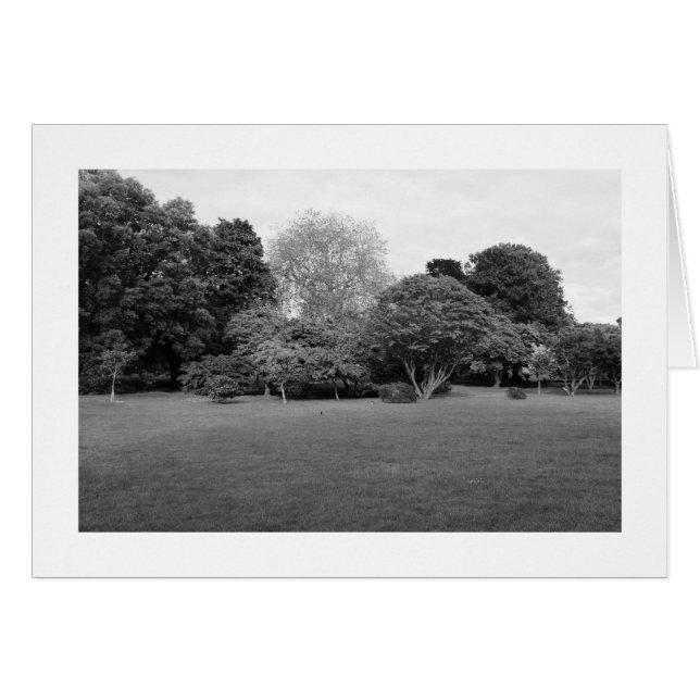 喜びのために二縁どつ (正面横)