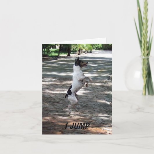 喜びのために跳んで下さい カード (正面)