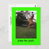 喜びのジャンプ!! ポストカード (正面/裏面)