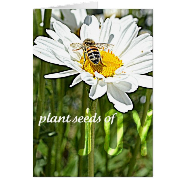 喜びのデイジーカード (正面)