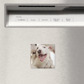 喜びのブルテリア マグネット (インサイチュ (食洗機))