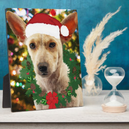 喜びの君よ、子犬 フォトプラーク