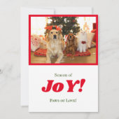 喜びの季節 クリスマス 犬 & 猫 ペット写真 赤いフレーム (正面)