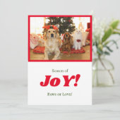 喜びの季節 クリスマス 犬 & 猫 ペット写真 赤いフレーム (スタンド正面)