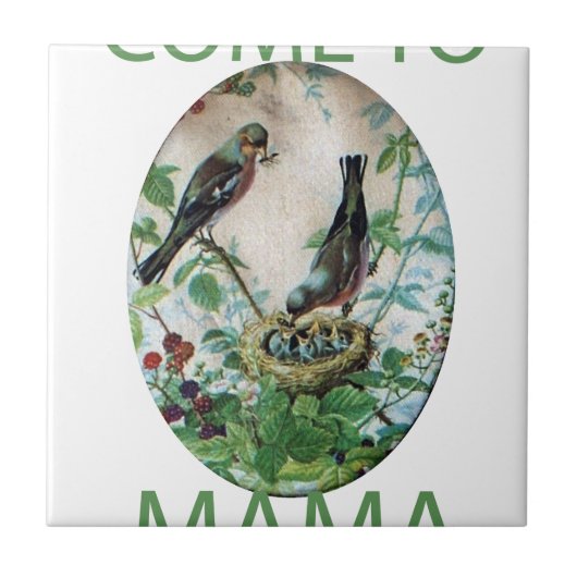 喜びの巣:家族の栄養のある若い精神の愛 タイル (正面)