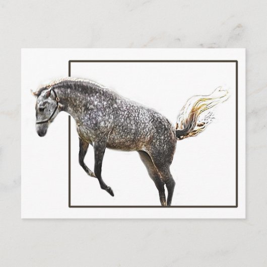 喜びの飛躍 ポストカード (正面)