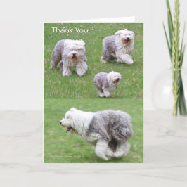 喜びは簡単な形式の感謝です サンキューカード