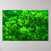 喜び ポスター (正面)