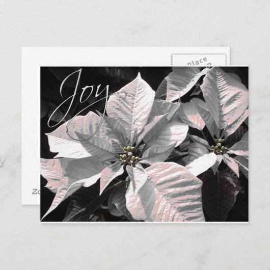 喜び ポストカード (正面/裏面)