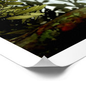 喜久 ポスター (角)