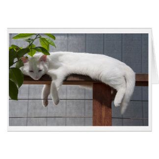 喜劇的な子ネコの空白のなカードシリーズ