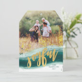 喜色彩の鮮やか (スタンド正面)