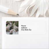 喪に服した鳩の写真 ラベル (インサイチュ)