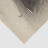 喪に服す天使ティッシュペーパー 薄葉紙 (詳細)