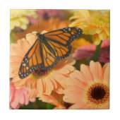 喪に服す蝶 タイル (正面)