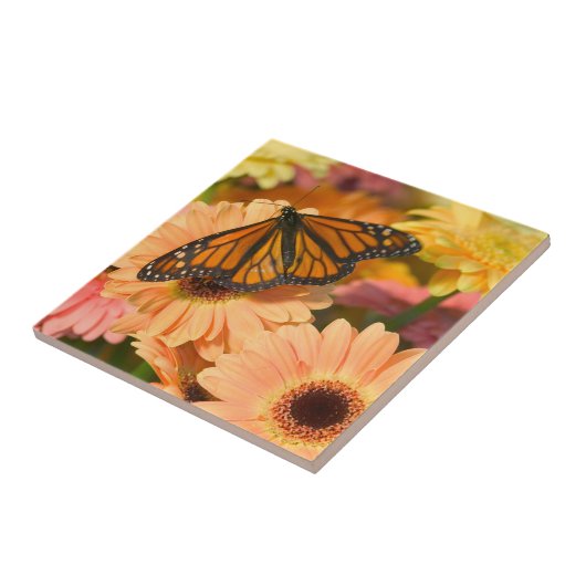 喪に服す蝶 タイル (側面)