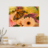 喪に服す蝶 ポスター (キッチン)