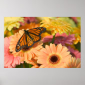 喪に服す蝶 ポスター (正面)