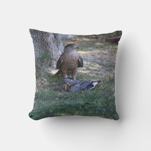 喪に服す鳩になる悪い日 – 《鳥》ハヤブサの閉鎖 クッション (正面)