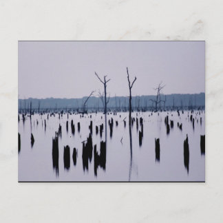 「喪の朝」 – はがき