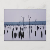 「喪の朝」 – はがき (正面)