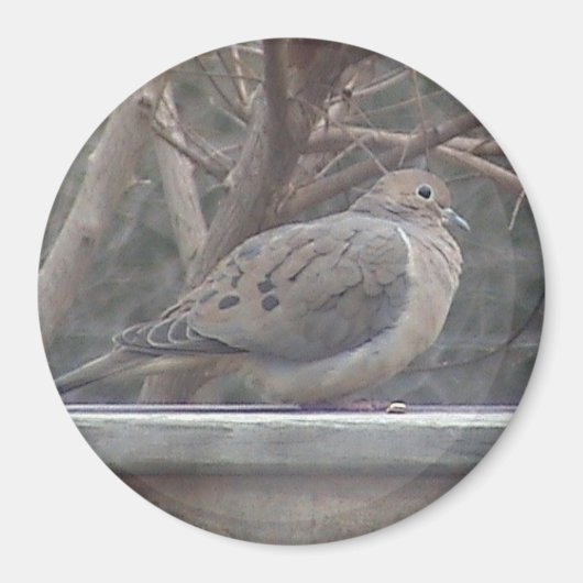 喪の鳩マグネット マグネット (正面)