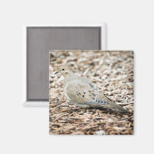 喪の鳩1磁石 マグネット (正面/裏面)