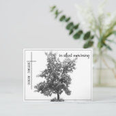 喪静か中 – 牧草地の木2.0 ポストカード (スタンド正面)