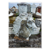 喪馬 フォトプリント            (正面)