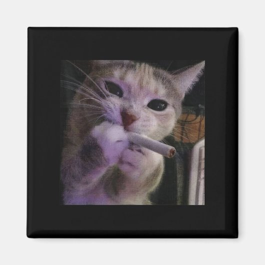 喫煙おもしろい猫、タバコ子猫ゲンZミーム、猫 マグネット (正面)