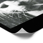 喫煙キャットビーニーグランジミームおもしろいエステティックT-s ポスター (角)