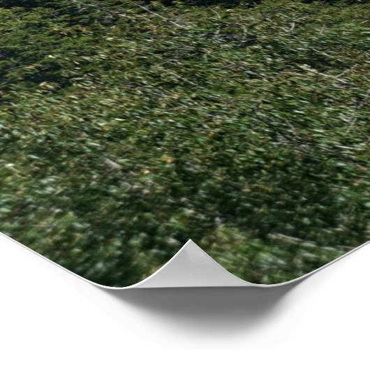 喫煙者のトップ ポスター (角)