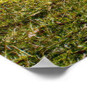 喫煙者の歯のポスター ポスター (角)