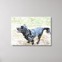 喫煙者は散歩を待つ