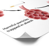 喫煙肺気腫ポスター ポスター (角)