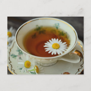 喫茶店の茶葉書 ポストカード