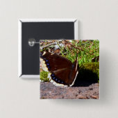 嘆くマント蝶Upclose 缶バッジ (正面&裏面)