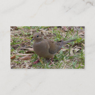 嘆く鳩かカメは地面で潜りました 名刺