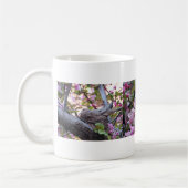 嘆く鳩の巣、入り込む嘆く鳩 コーヒーマグカップ (左)