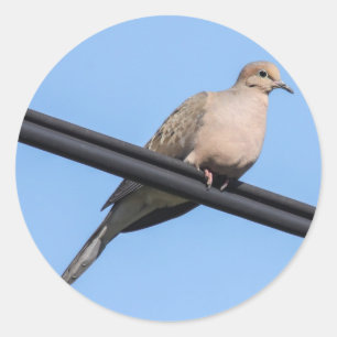 嘆く鳩 ラウンドシール