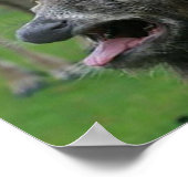 嘔吐している鹿： ポスター (角)