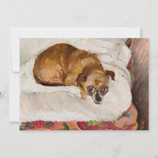 嘘つき犬 | ジグムントワリシヴスキ (正面)