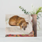 嘘つき犬 | ジグムントワリシヴスキ (スタンド正面)