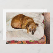 嘘つき犬 | ジグムントワリシヴスキ (正面/裏面)