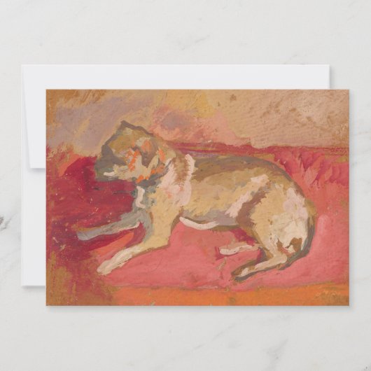 嘘つき犬 | ジグムントワリシヴスキ (正面)