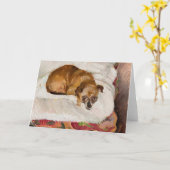 嘘つき犬 | ジグムントワリシヴスキ カード (黄色い花)