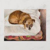 嘘つき犬 | ジグムントワリシヴスキ ポストカード (正面)