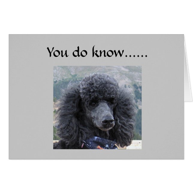 嘘をつくことは受け入れられない。 (正面横)